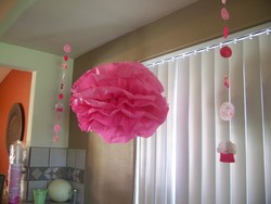 100_8509_medium