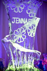 Goldstein_bat_mitzvah_12-08_035_medium