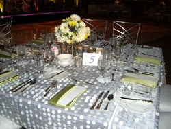 12-08_031_medium