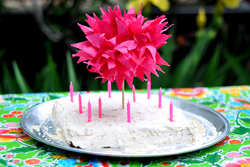 Party_fiesta_forty_birthday_dsc_7485_medium