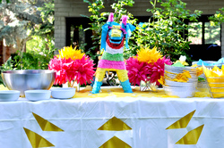 Party_fiesta_forty_birthday_dsc_7335_medium
