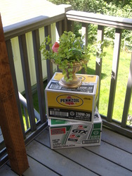 Carstrophy_medium