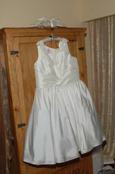 Amber_billdsc_8332_medium