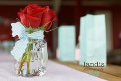 Rpartydetails3_13_medium
