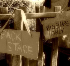 Back_stage_medium