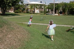 Dsc_1520_medium