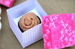 Valentineshoot2011-cupcakeboxsingle_medium