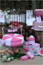 Valentineshoot2011-ltside_medium