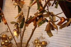 Img_5807_medium