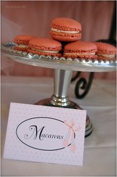 Zwd_ballerinapartyset-placecard_medium