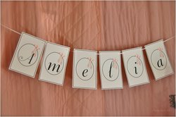 Zwd_ballerinapartyset-banner_medium
