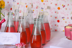 Watermelon_spritzer_medium