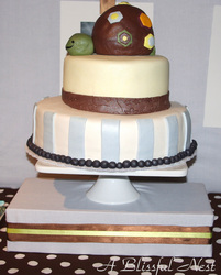 Cake003_copy_medium