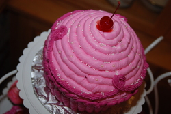 Birthday_party_2011_058_medium