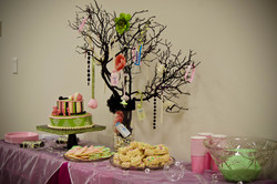Lara_s_baby_shower0__1_of_1__medium