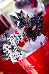 Myleighs_party0__1_of_1__medium