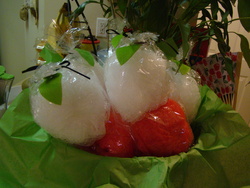Camara_ceci_septiembre_2010_236_medium