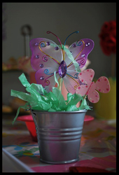 Picture_8_medium