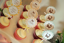 Cupcakes_medium