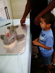 Shark17_medium