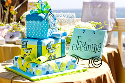 Sanifar_baby_shower___77__medium