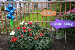 Img_8726_medium