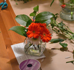 Flowerdaisy_medium