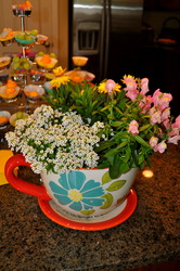 Dsc_1064_medium
