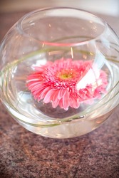 Gerbera_bowl_centrepiece_medium