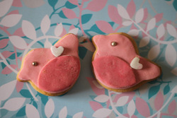 Birdie_bikkies_medium