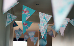 Bunting_medium