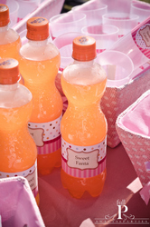 16_-_sweet_catutis_-_personalized_fanta_medium