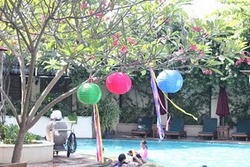 Img_1449_medium