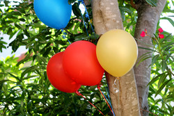 Img_4528_medium