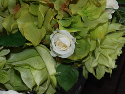 P1013717_medium