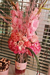 Img_0538_medium