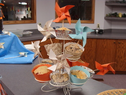 Dsc05191_medium