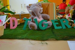 Jungleelephant_medium