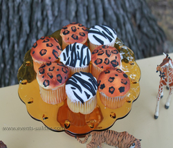 Img_1454_copy_medium