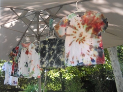 Dscn1831_medium