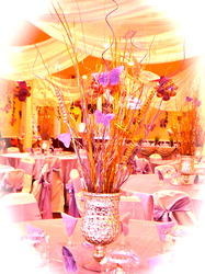 Dsc01784_medium
