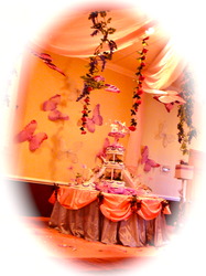 Dsc01788_medium
