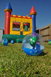 Dsc_0621_medium