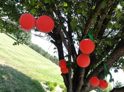 Dsc06022_medium