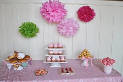 Kerry_s_shower_131_medium