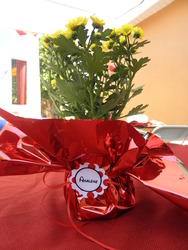 P7300974_medium