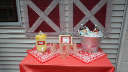All_new_409_medium