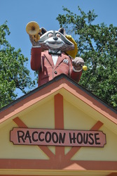 Dsc_0062_medium