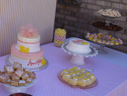 Dsc09327_medium