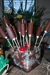 Cattails_medium